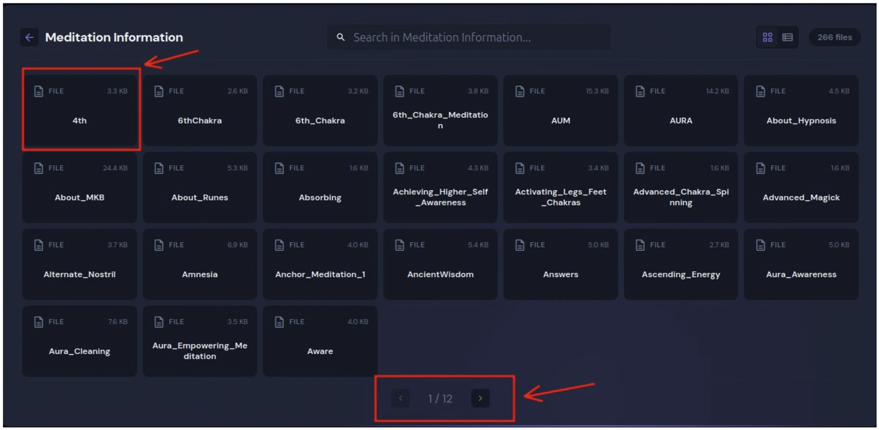 The Meditation Information section showing its files across pages, with the page arrows highlighted